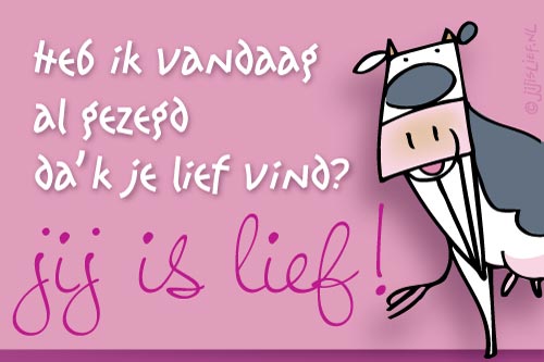 Jij is Lief - kaart: Ik vind je lief