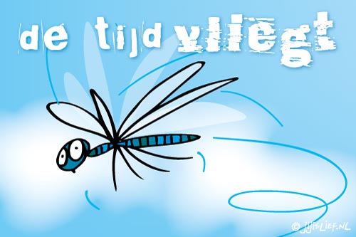 De Tijd Vliegt Voorbij Betekenis