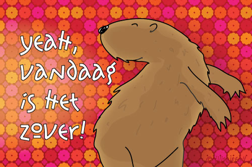 Jij is Lief - kaart: Vandaag is het zover!