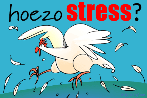 'Stress?' Klik en verstuur deze kaart als e-card!